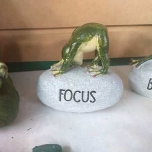 Meet your Posher, Tracy